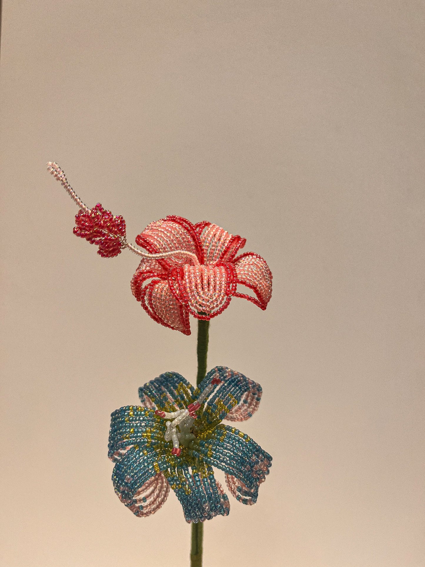 Hibiszkusz és liliom duó