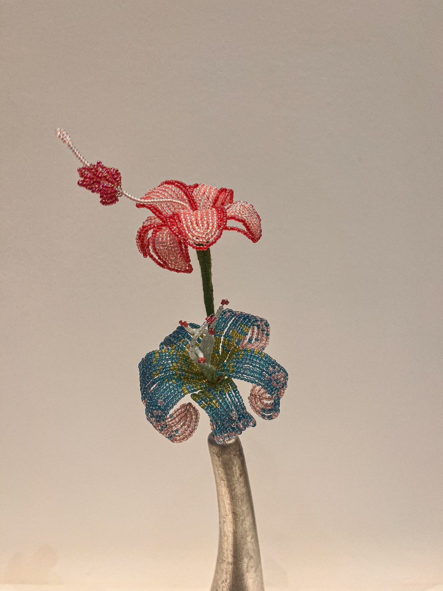 Hibiszkusz és liliom duó