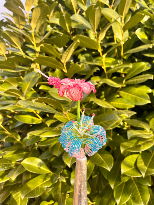 Hibiszkusz és liliom duó