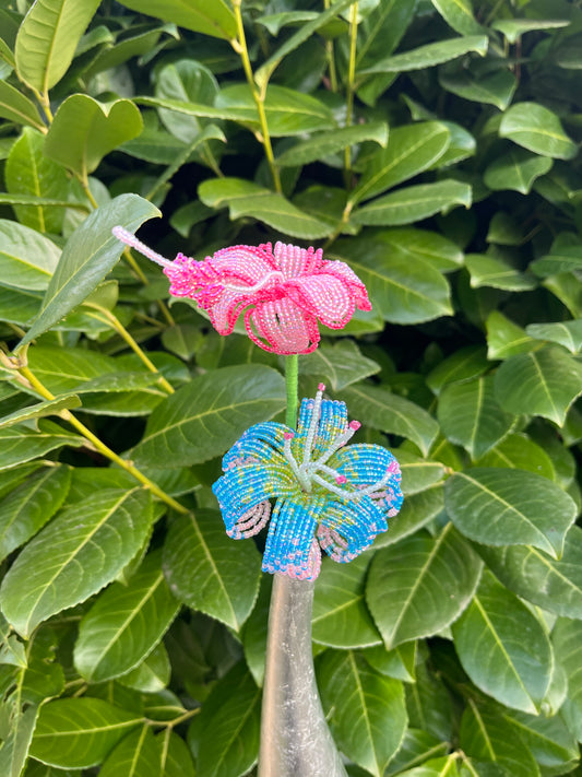 Hibiszkusz és liliom duó