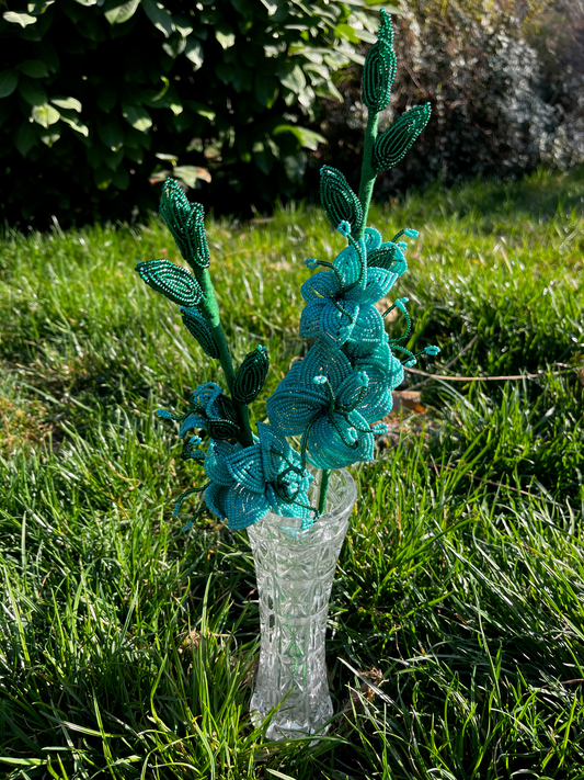 Türkiz gladiolus
