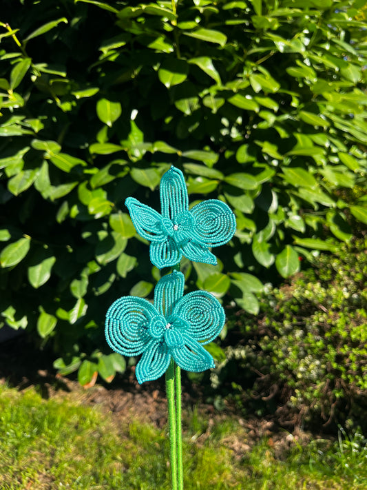 Türkiz orchidea duó